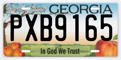 GA license plate PXB9165