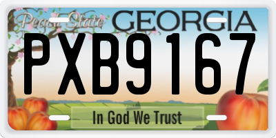 GA license plate PXB9167