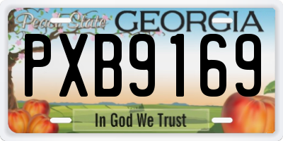 GA license plate PXB9169