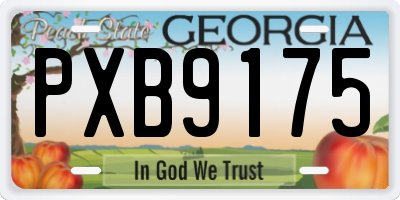 GA license plate PXB9175