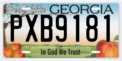 GA license plate PXB9181