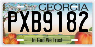 GA license plate PXB9182