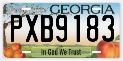 GA license plate PXB9183