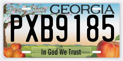 GA license plate PXB9185