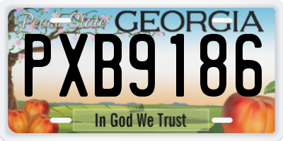 GA license plate PXB9186
