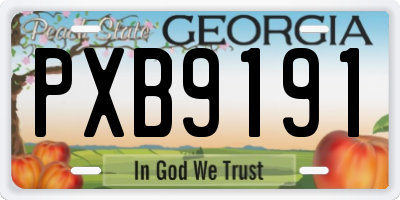 GA license plate PXB9191