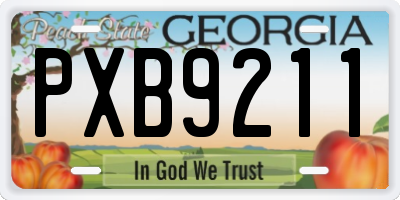 GA license plate PXB9211