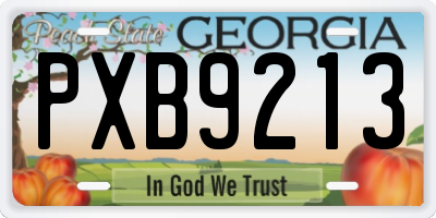 GA license plate PXB9213