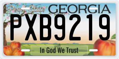 GA license plate PXB9219