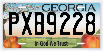 GA license plate PXB9228