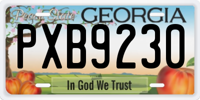 GA license plate PXB9230