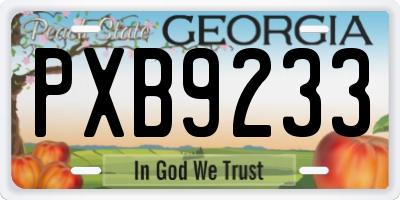 GA license plate PXB9233
