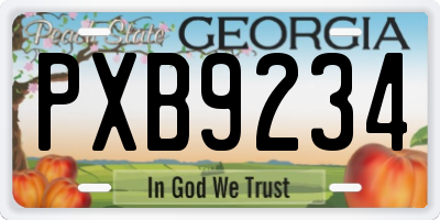 GA license plate PXB9234