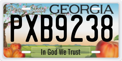 GA license plate PXB9238
