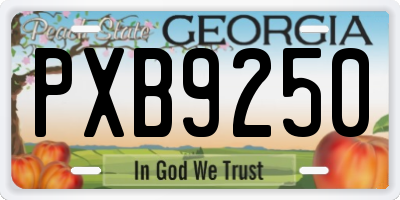 GA license plate PXB9250
