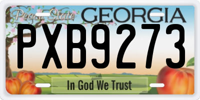 GA license plate PXB9273