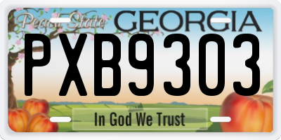 GA license plate PXB9303