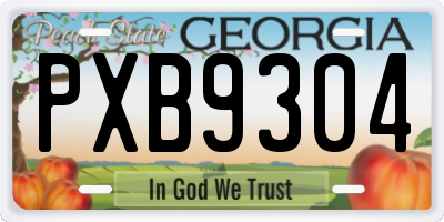 GA license plate PXB9304
