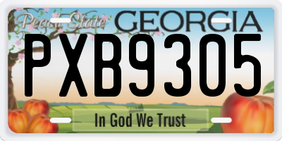 GA license plate PXB9305