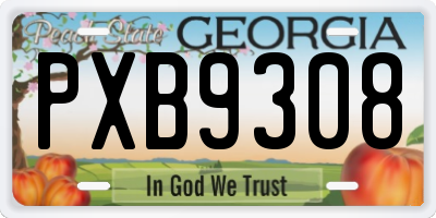 GA license plate PXB9308