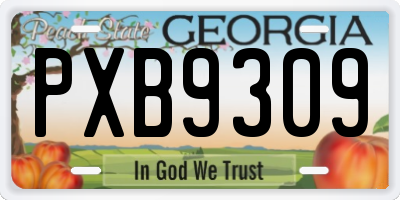 GA license plate PXB9309