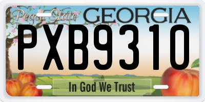 GA license plate PXB9310