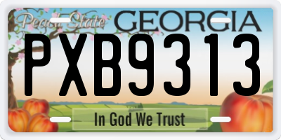 GA license plate PXB9313