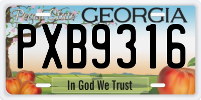 GA license plate PXB9316