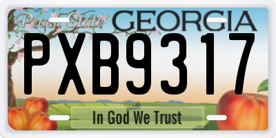 GA license plate PXB9317