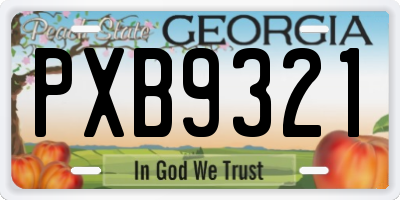GA license plate PXB9321