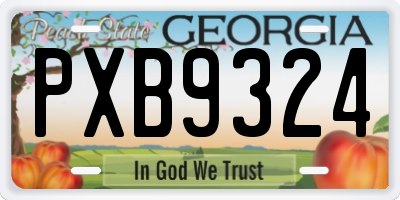 GA license plate PXB9324