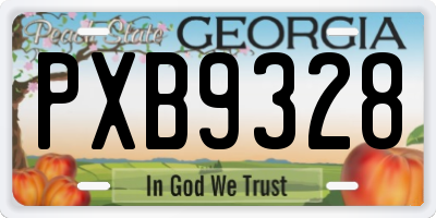 GA license plate PXB9328