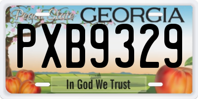 GA license plate PXB9329
