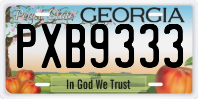 GA license plate PXB9333
