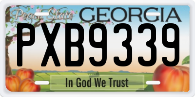 GA license plate PXB9339