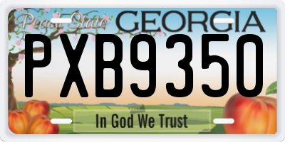 GA license plate PXB9350