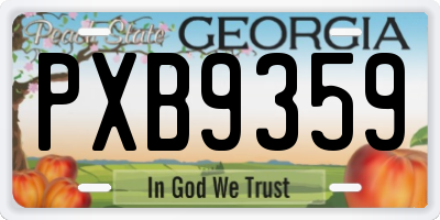 GA license plate PXB9359