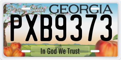 GA license plate PXB9373
