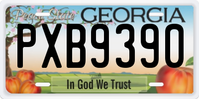GA license plate PXB9390