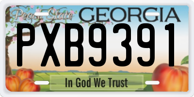 GA license plate PXB9391