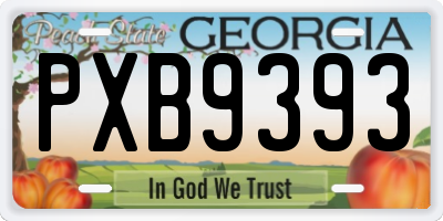 GA license plate PXB9393