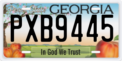 GA license plate PXB9445