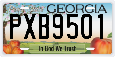 GA license plate PXB9501