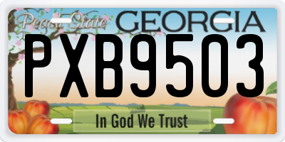 GA license plate PXB9503