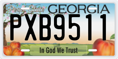 GA license plate PXB9511