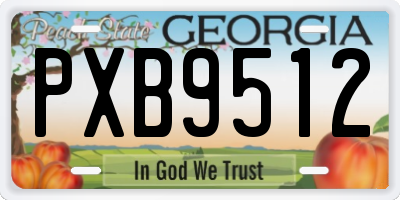 GA license plate PXB9512
