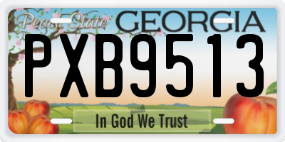 GA license plate PXB9513