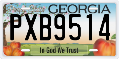 GA license plate PXB9514
