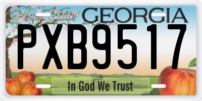 GA license plate PXB9517