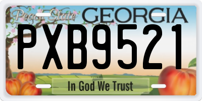 GA license plate PXB9521